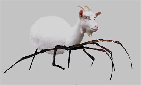 Spider Goat By Sceller On Deviantart