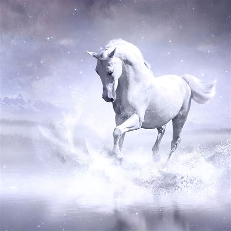 2048x2048 White Horse Ipad Air Hd 4k Wallpapers Images Backgrounds