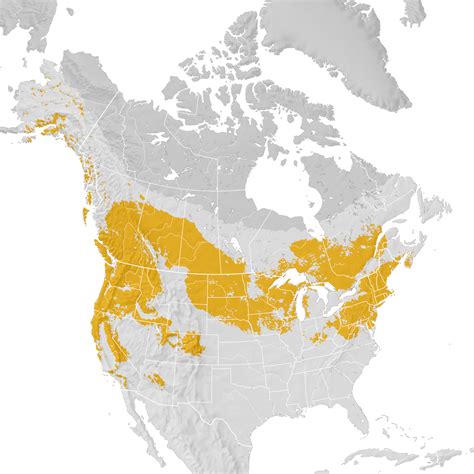 Northern Saw Whet Owl Range Map Post Breeding Migration Ebird