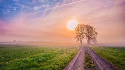landscape, Nature, Path, Trees Wallpapers HD / Desktop and ...