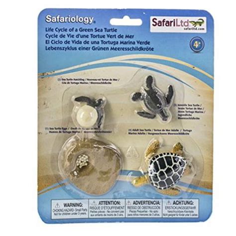 Safari Ltd Life Cycle Of A Green Sea Turtle