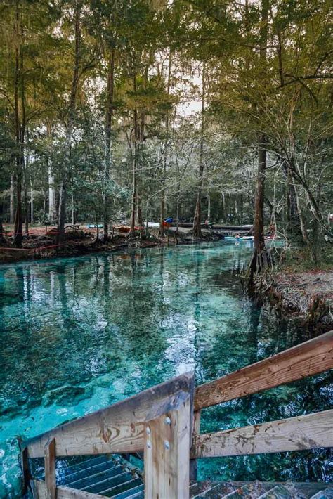 Springs In Florida The Very Best Natural Springs To See In Florida