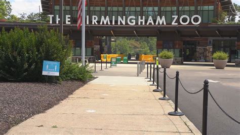 Watch Birmingham Zoo Reopens Next Week Conversation With Ceo Cbs 42