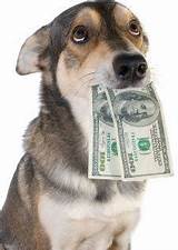 Pictures of Veterinarian Salary Per Hour