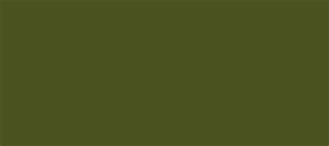 Hex Color 4b5320 Color Name Army Green Rgb758332