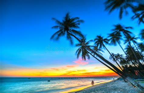 Two Palm Trees On The Sandy Beach Tropical Blue Water In The Bay