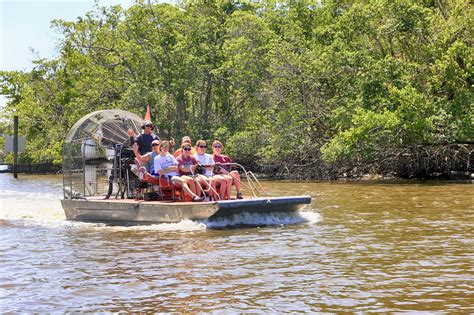 Top Activities In Everglades National Park