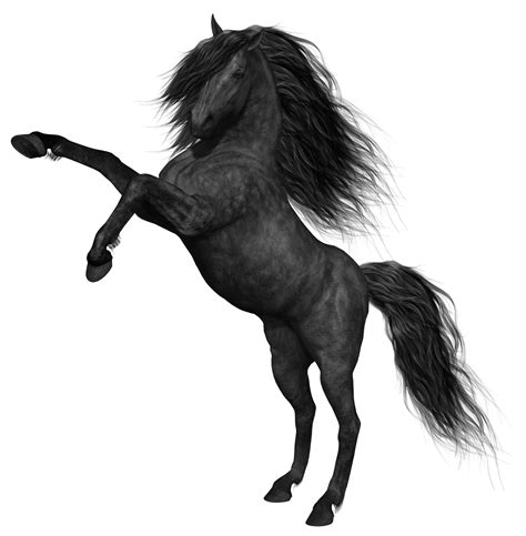 Black Horse Horse Png And Horse Clipart Transparent Horses Black