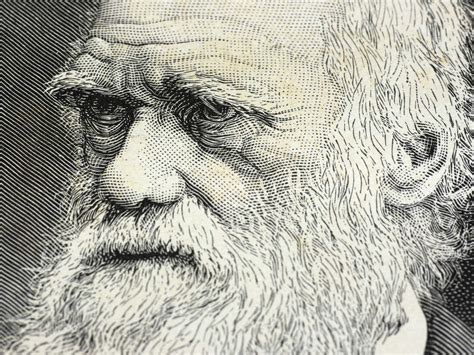 Three Things You Might Not Know About Charles Darwin 137 Cosmos And
