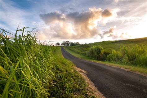 Open Road Photography Print Hilo Hawaii Tropical Road Abstract