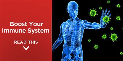 How To Boost Your Immune System Online Fitness Coach Lukas Duncan