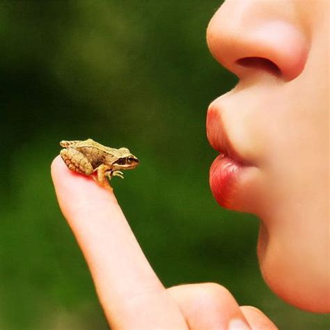 20 Funny Photographs To Make You Laugh Out Loud Creative Nerds Fairy Tales Frog Prince