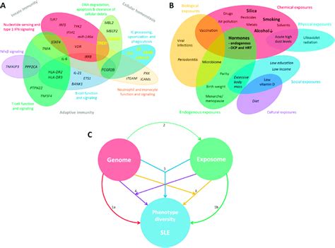 Genetic And Environmental Factors Influencing The Risk Of Systemic