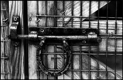 Caged By Dahkota Dpchallenge