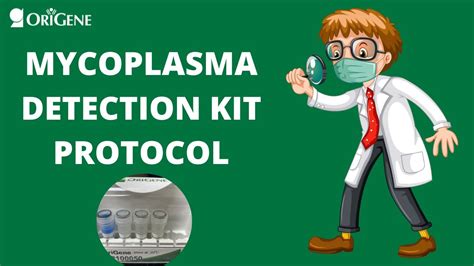 Mycotrack Mycoplasma Detection Protocol Youtube
