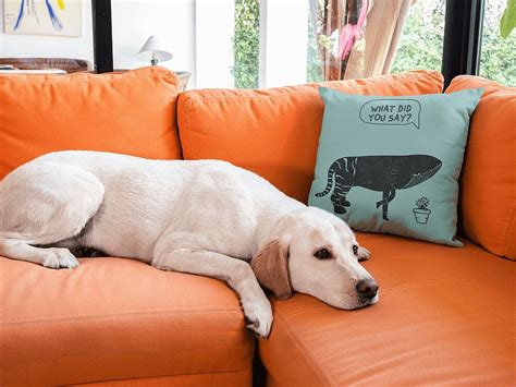 How to start a pillow business? The Complete Guide to Starting a Decorative Pillow Business