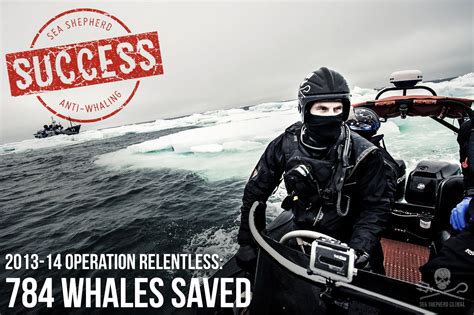 During Operation Relentless Sea Shepherd S Efforts In The Southern