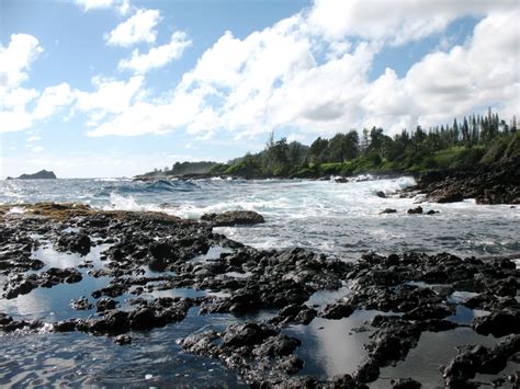 On The Edge Living In The Intertidal Zone Hō‘ike O Haleakalā Curriculum