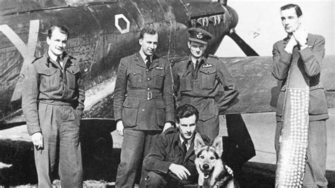 who were the few the real heroes of the battle of britain