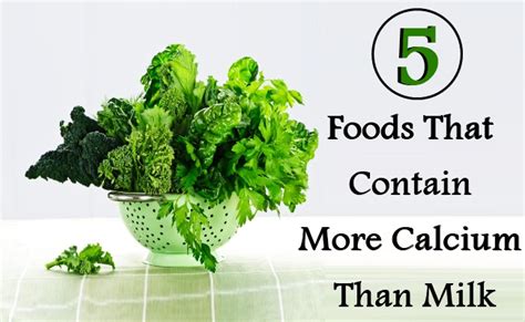 Jul 02, 2021 · calcium and dairy products. 5 Foods That Contain More Calcium Than Milk | DIY Health ...