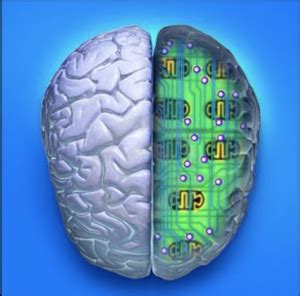 Brain computer interface technology, also commonly used as bci technology is a direct interface between humans and systems, bypassing the need for any external device and muscle intervention to. Big data: Computer vs. Human Brain | MS&E 238 Blog