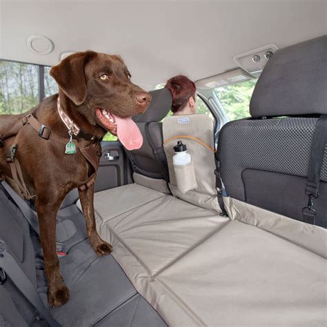 Backseat Bridge Backseat Extender Dog Beach Dog Travel Dog Travel