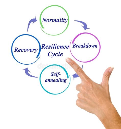 Components Of Resilience Cycle Stock Photo Image Of Resilience Four