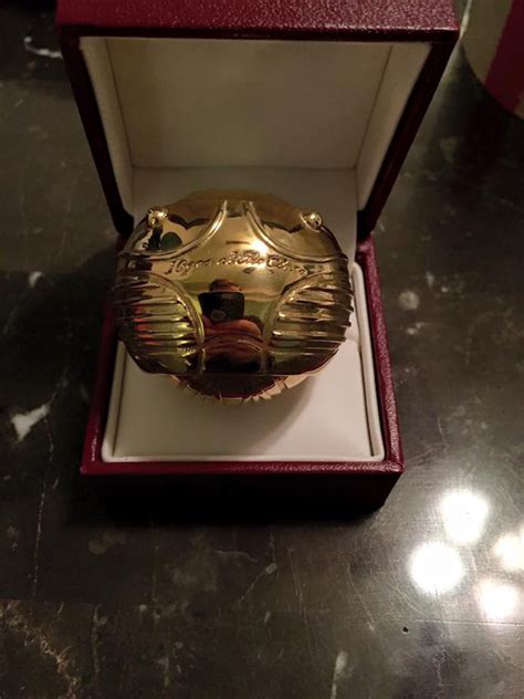 Harry Potter Proposal With Golden Snitch Ring Box Goes Viral