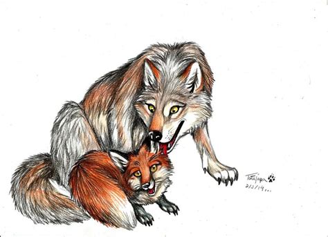 The Fox And The Wolf Fox Artwork Fox Art Fox