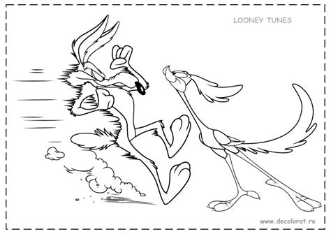 Road Runner And Wile E Coyote 47268 Cartoons Free Printable