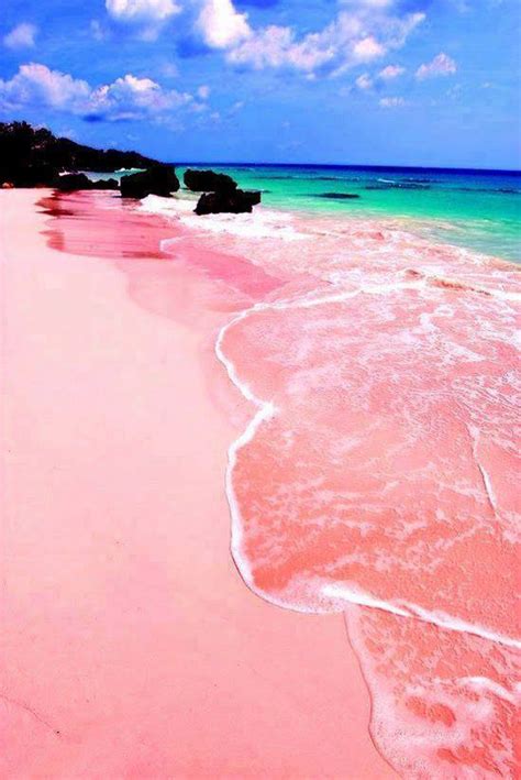 Fascinante Playa De Arena Rosa En Bahamas