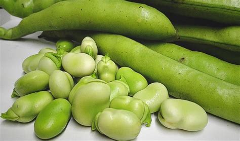 Esto es lo que necesitas para cocinar espinazo con habas y calabacitas. Descubre todo sobre como sembrar Habas