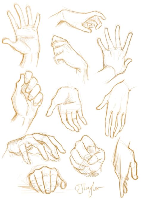 Everything Art Hand Drawing Reference Drawing People Drawing