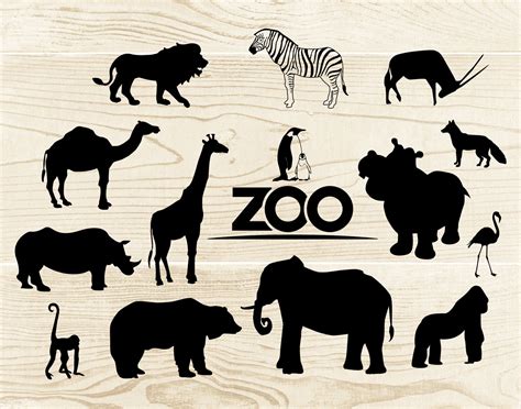 Zoo Animals Clipart Svg