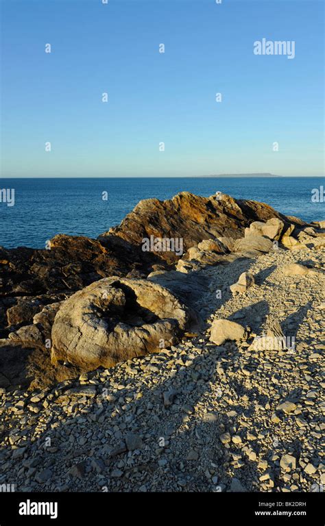 Lulworth Cove Dorset Fossil Forest Stock Photo Alamy