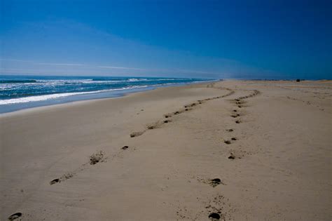 The 10 Best US Beaches Where You Can Drink (Legally) | HuffPost