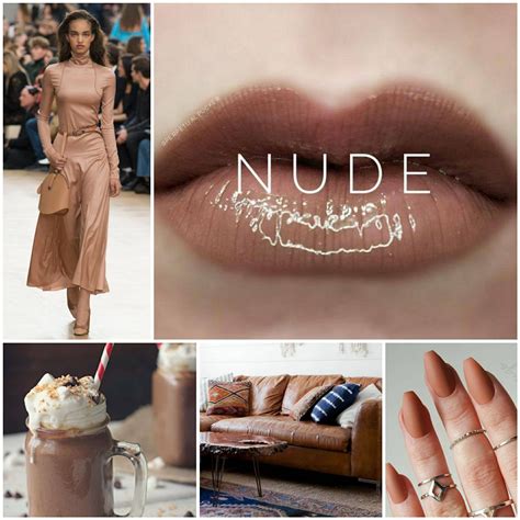 Nude Lipsense Chestnut Brown Lipsense Make Up Nude Collages Soft