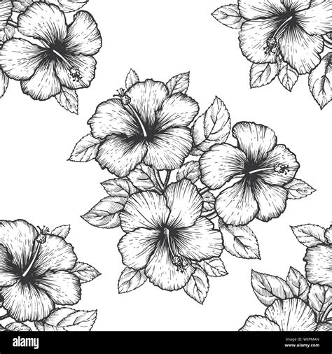 Hand Drawn Tropical Hibiscus Flower Seamless Floral Pattern With