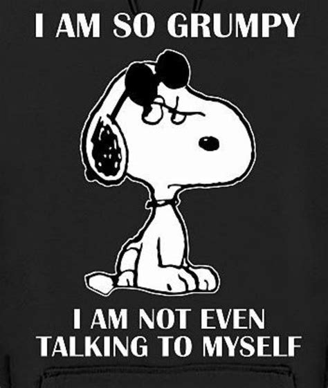 Pin By Alicia On Snoopy Snoopy Funny Snoopy Quotes Snoopy