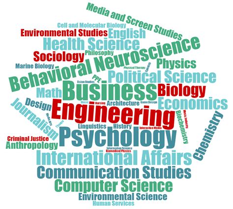 Word Cloud What Majors Are Incoming Students Exploring Explore