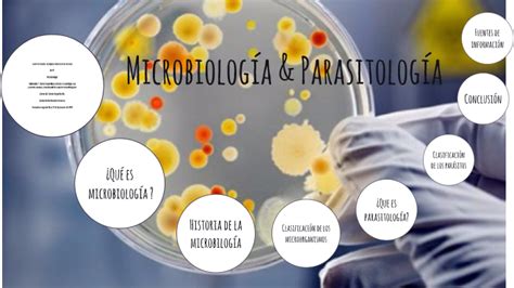 microbiologia y parasitologia