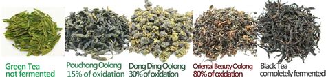 What Is Oolong Tea