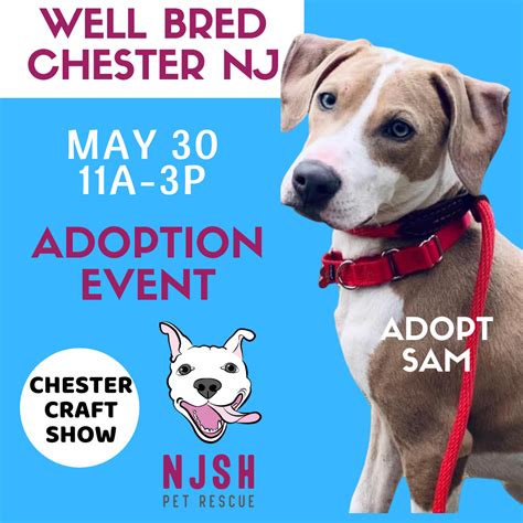 Not sure where to start? NJSH Pet Rescue Events| New Jersey