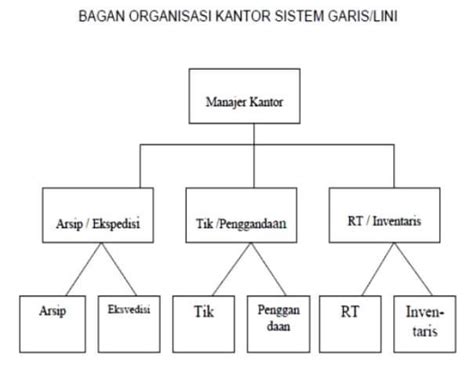 Jenis Jenis Organisasi Bisnis Dan Disekolah