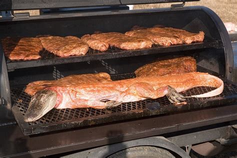 What meat is best on gator?