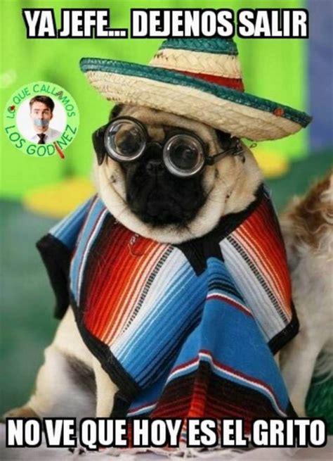 Share a gif and browse these related gif searches. Viva México, vivan los memazos: Tenemos los mejores del ...