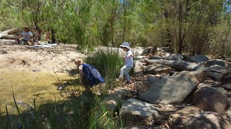 Rio Tinto Naturescape Kings Park Perth Updated 2021 All You Need To