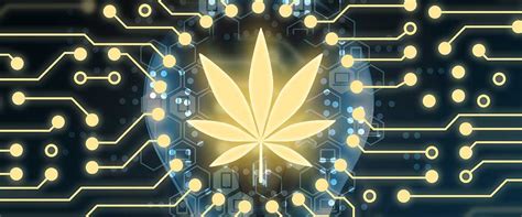 Yes, buying bitcoin is legal in canada and the canada revenue agency has recently provided clarity and classified bitcoin as a commodity, stating that the bitbuy is the leading cryptocurrency exchange based in canada. Crypto cannabis is very hot now! - Traders-Paradise