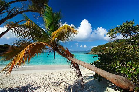 Flightnetwork Canada Trunk Bay In St John Is One Of The Top 50