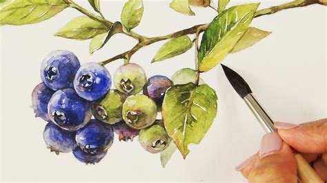 Watercolor Painting Blueberries YouTube